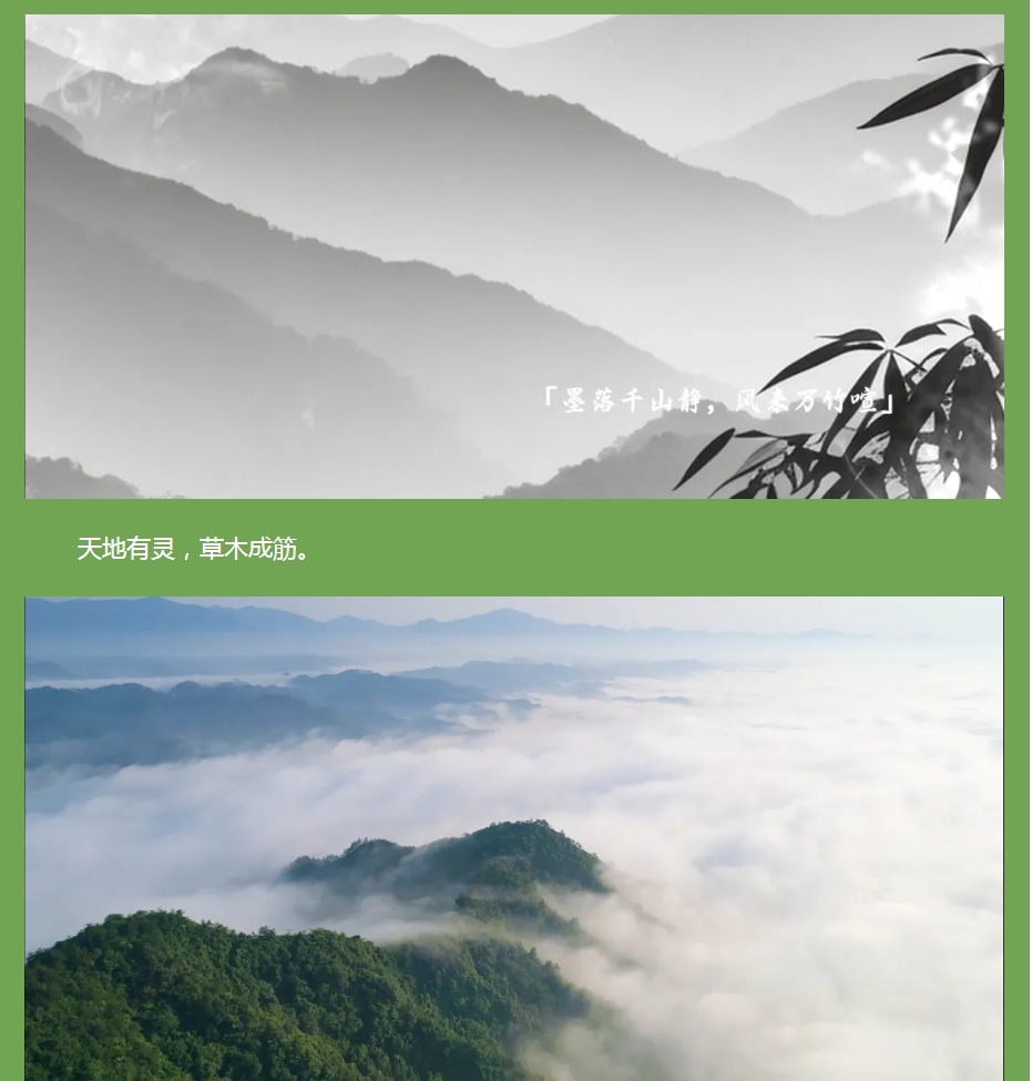 以竹為骨，筑就健康之境 —— 竹筋香韻凈化板